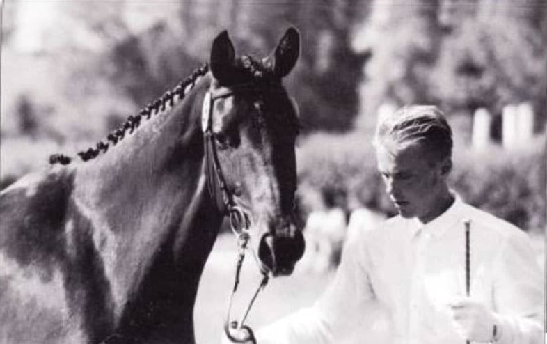 Showing The Trakehner In Hand